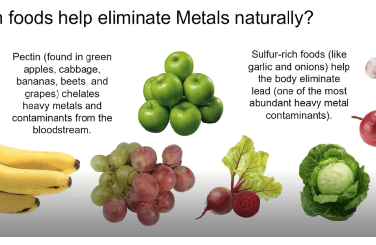 Eliminate Heavy Metals Naturally in Portland